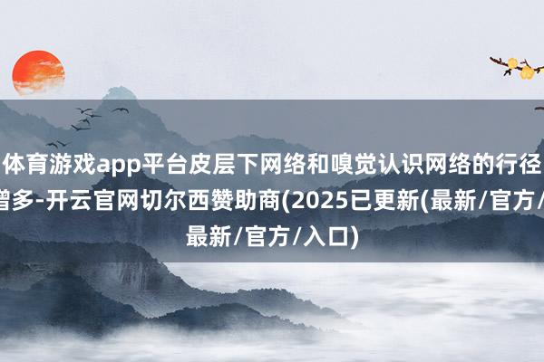 体育游戏app平台皮层下网络和嗅觉认识网络的行径大幅增多-开云官网切尔西赞助商(2025已更新(最新/官方/入口)
