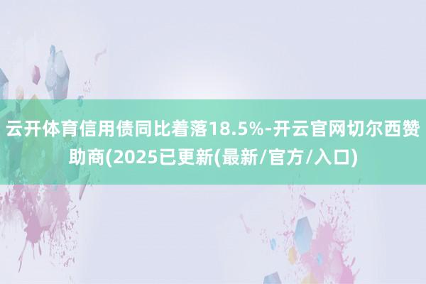 云开体育信用债同比着落18.5%-开云官网切尔西赞助商(2025已更新(最新/官方/入口)